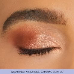 tarte sale shop 25 tarte sale shop -tarte sale shop 2199 lid love laugh Amazonian clay eyeshadow wardrobe happiness ALT 1