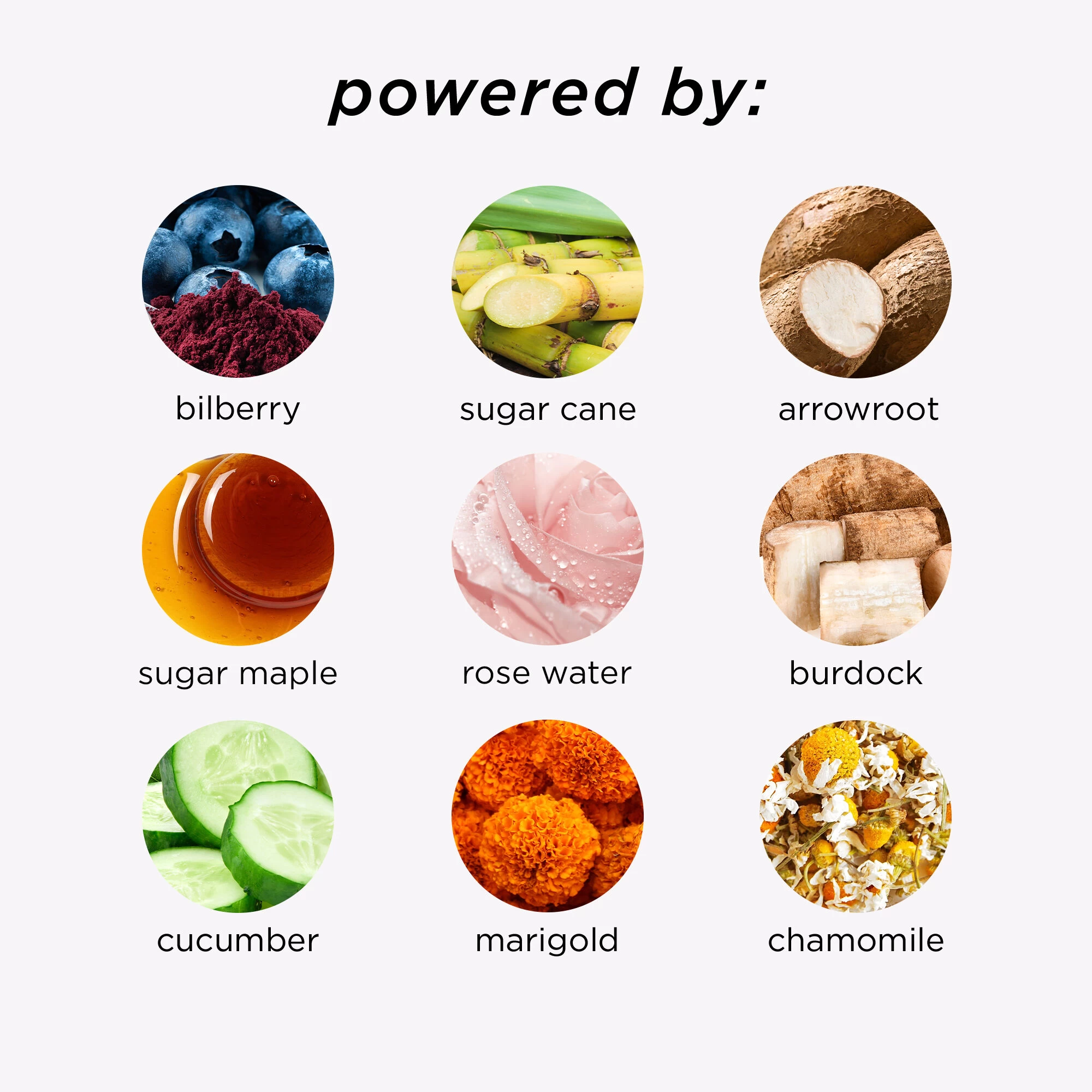 Travel-size Brightening In A Bottle 25% AHA + 2% BHA Facial Mask 6 Travel-size Brightening In A Bottle 25% AHA + 2% BHA Facial Mask - Image 4