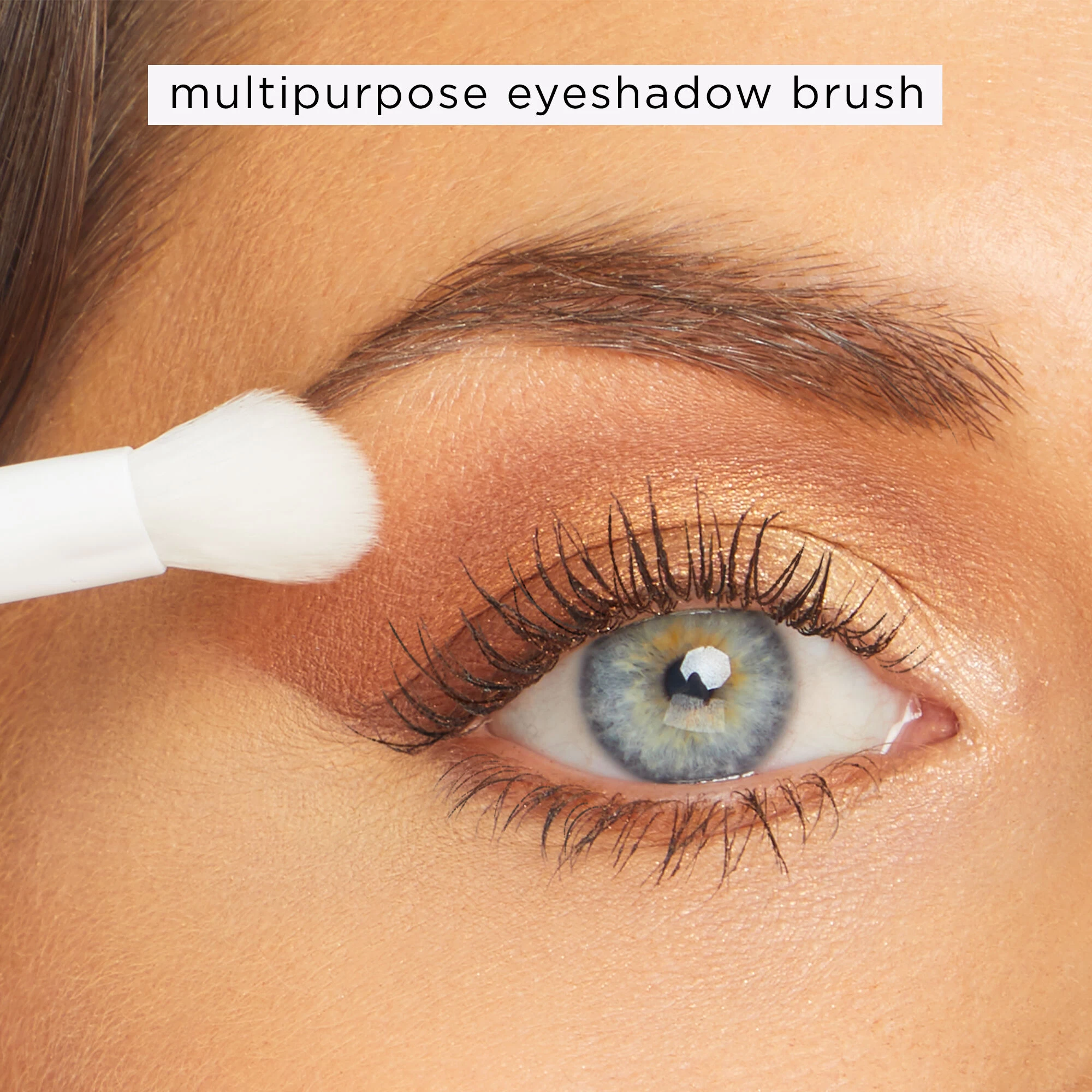 Secrets From The Amazon Brush Set 7 Secrets From The Amazon Brush Set - Image 5