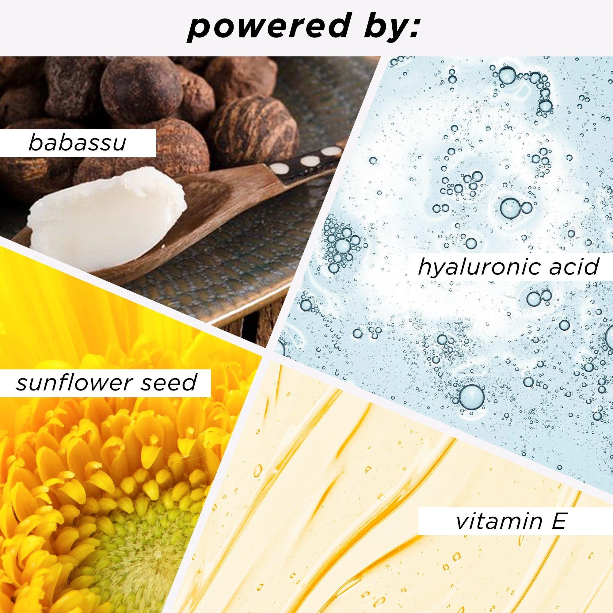 TRAVEL-SIZE BABASSU FOUNDCEALER DEWY FOUNDATION SPF 20 6 TRAVEL-SIZE BABASSU FOUNDCEALER DEWY FOUNDATION SPF 20 - Image 4