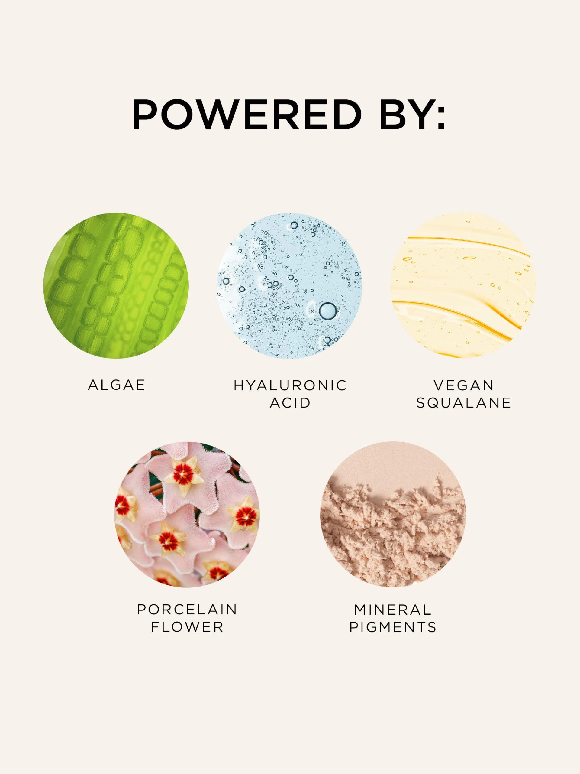 Glowlight Skin Filter 7 Glowlight Skin Filter - Image 5