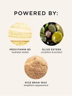 Picture Perfect™ Eyelash Curler & Deluxe Lights, Camera, Lashes™ Mascara 17 Picture Perfect™ Eyelash Curler & Deluxe Lights, Camera, Lashes™ Mascara -tarte sale shop 6 lights camera lashes 4 in 1 mascara ALT vertical 5