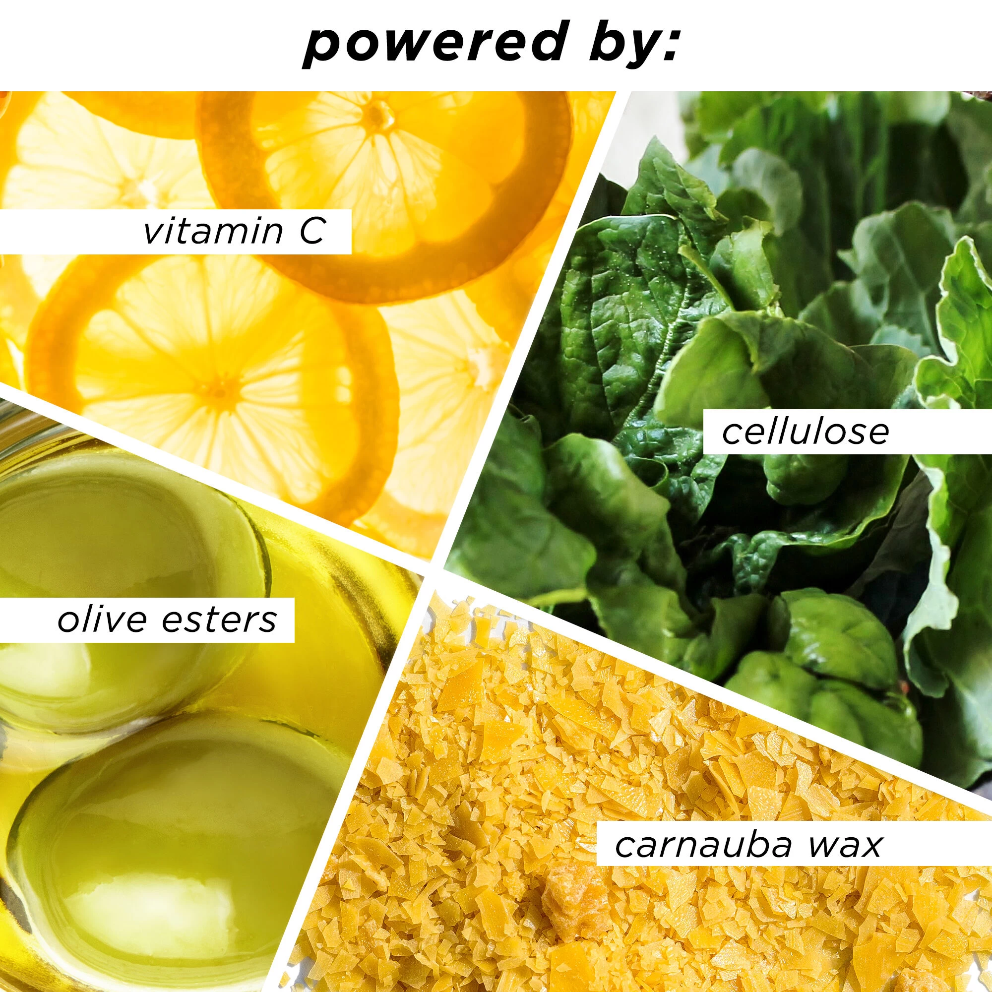 Opening Act™ Lash Primer 6 Opening Act™ Lash Primer - Image 4