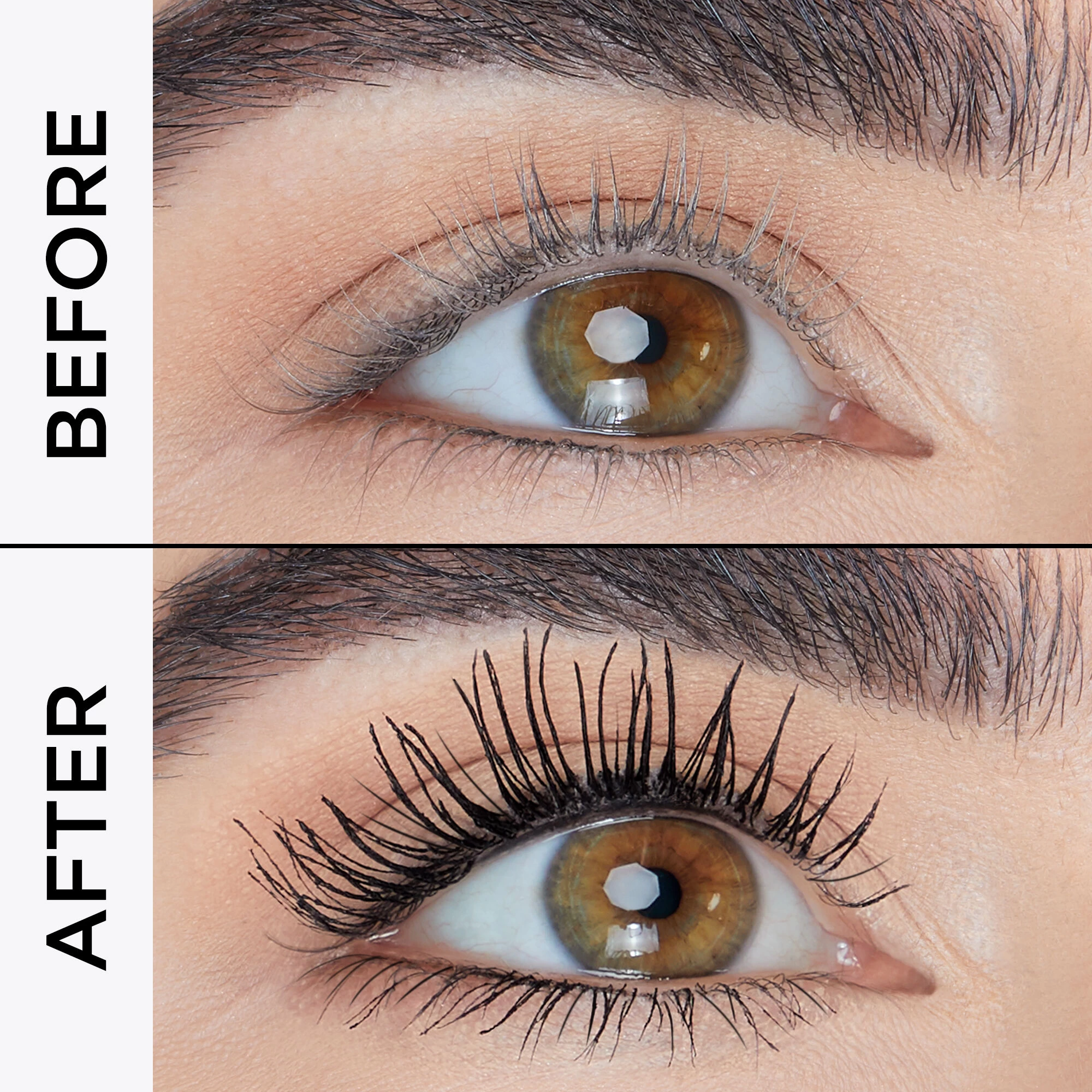 Maneater™ Lash Curler Set 6 Maneater™ Lash Curler Set - Image 4